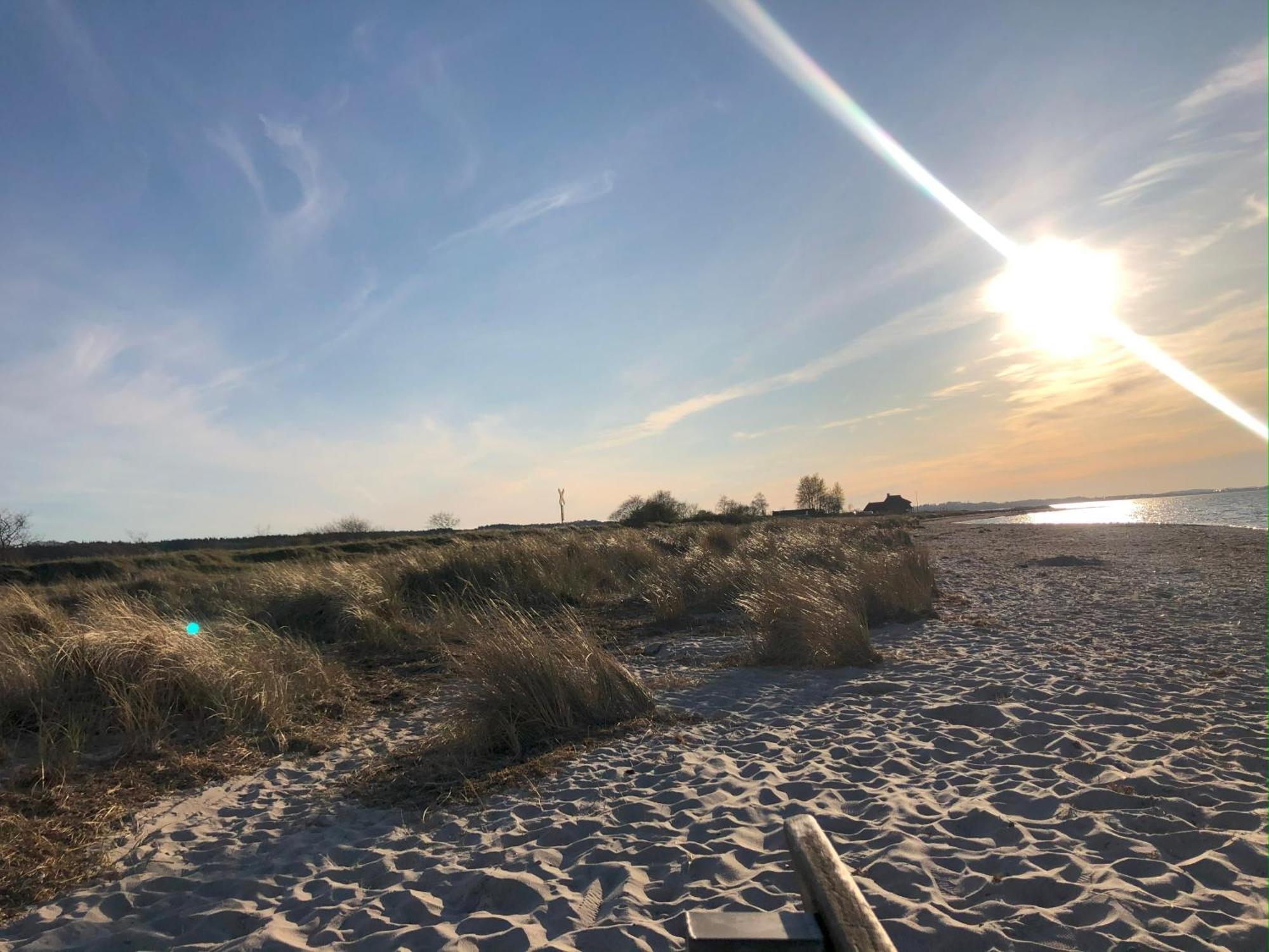 Neue Ferienwohnung An Der Ostsee,Terrasse,Sauna Surendorf Esterno foto