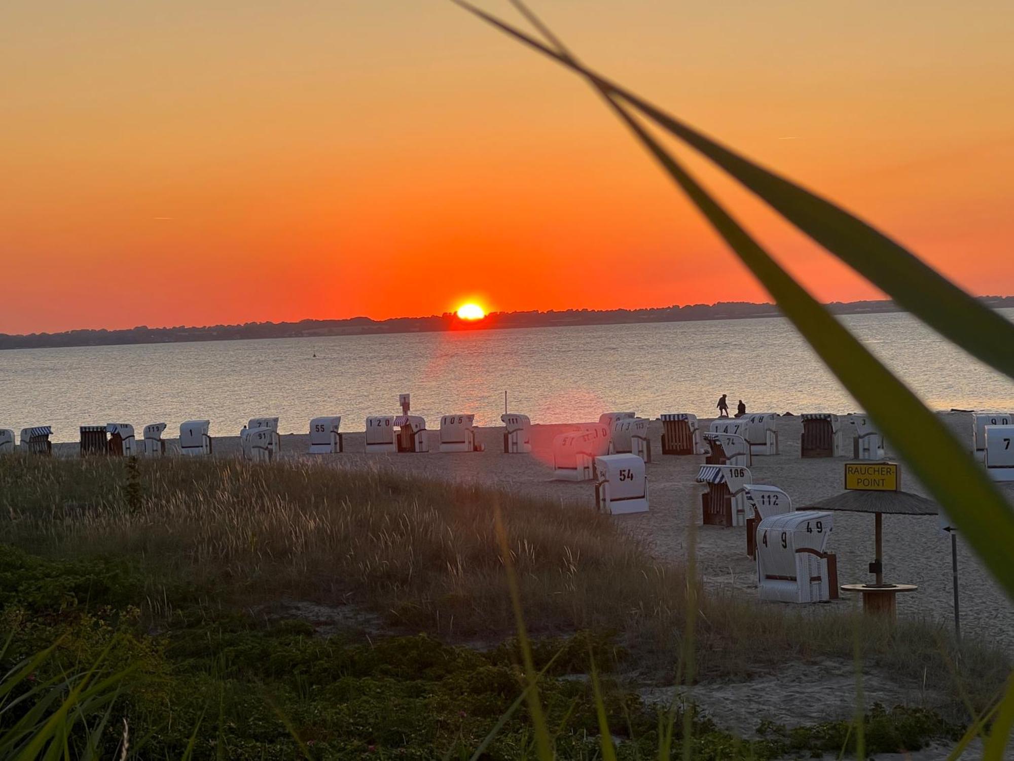 Neue Ferienwohnung An Der Ostsee,Terrasse,Sauna Surendorf Esterno foto